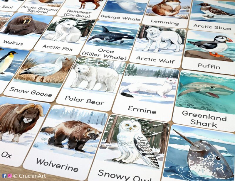Set of printed Arctic Tundra Animals theme three-part cards for kids with watercolor illustrations of Snowy Owl, Wolverine, Polar Bear, Ermine, Arctic Wolf, Arctic Fox, Narwhal, Orca Killer Whale and Greenland Shark