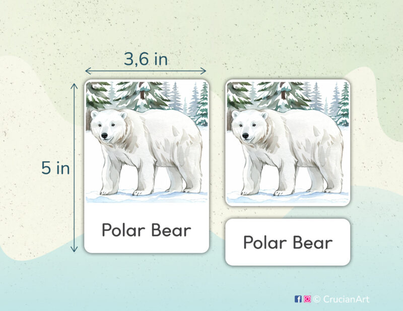 Arctic Animals theme 3-part cards homeschool printables. DIY educational resources for Polar Animals curriculum. Polar Bear watercolor illustrution.