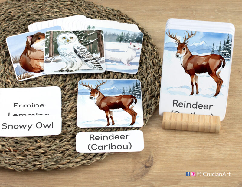 Early reading activity using three-part cards: Reindeer Caribout flashcard, word cards, and picture cards. Set of Arctic Tundra Animals themed sight words for Polar Wildlife week literacy activities.