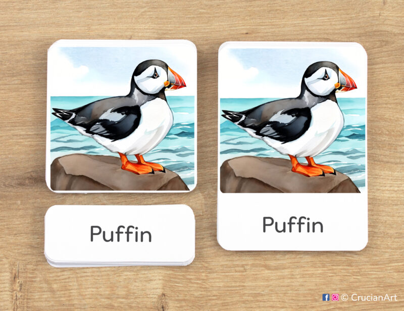 Arctic Wildlife theme 3-part cards homeschool printables. DIY educational resources for Winter Season curriculum. Puffin picture card, word card and control card.