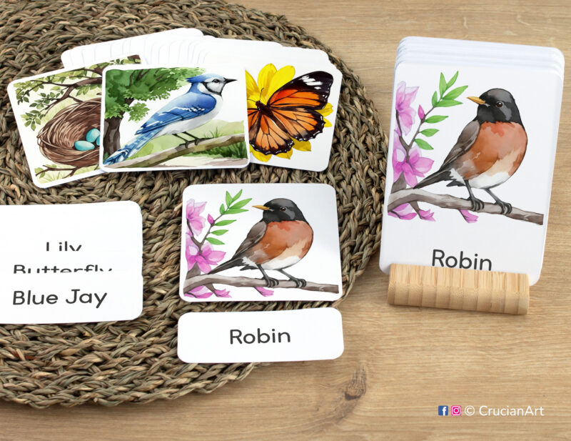 Early reading activity using three-part cards: Robin Bird flashcard, word card, and picture card. Set of Springtime-themed sight words for Spring literacy activities.