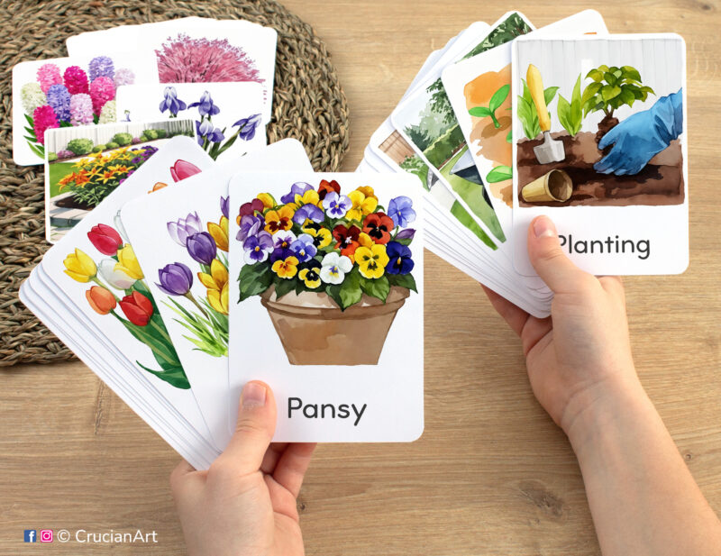 Pansy and Planting watercolor flashcards in child hands. Spring unit educational printables.