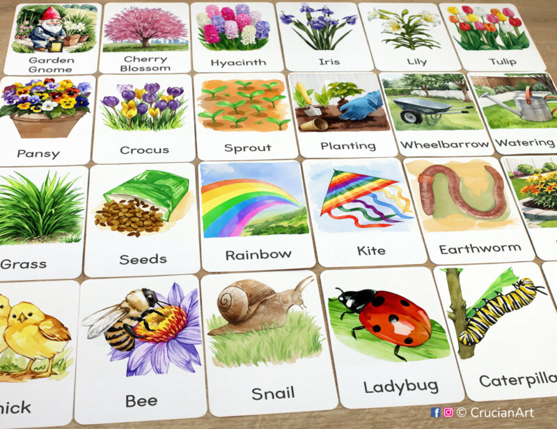 Set of Spring Season flashcards laid out on the table for learning activity: Ladybug, Caterpillar, Snail, Honey Bee, Baby Chick, Kite, Rainbow, Seeds, Grass, Earthworm, and Flowers