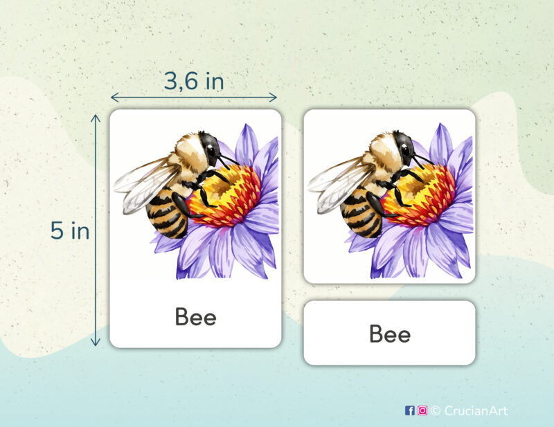 Springtime theme 3-part cards homeschool printables. DIY educational resources for Spring Season curriculum. Honey Bee watercolor illustration.