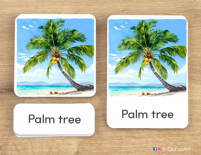 Summertime theme 3-part cards homeschool printables. DIY educational resources for Summer Season curriculum. Palm tree picture card, word card and control card.