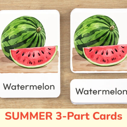 Summer three part cards set: Watermelon flashcard, watercolor visual card, and label with matching word. Vacation Season printable educational resource for Summertime study unit.