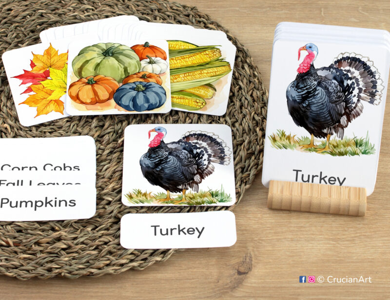 Early reading activity using three-part cards: Turkey flashcard, word cards, and picture cards. Set of Thanksgiving Day themed sight words for autumn holiday literacy activities.