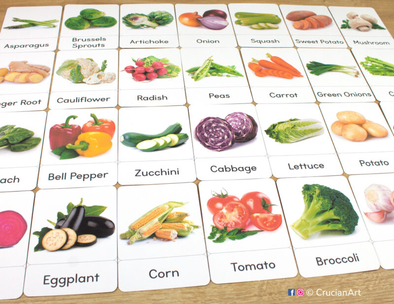 Set of photographic picture cards laid out on the table for vegetables theme preschool activity: Tomato, Broccoli, Eggplant, Cabbage, Zucchini, Lettuce, Bell Pepper, Cauliflower, Carrot, Radish, Peas, and Corn