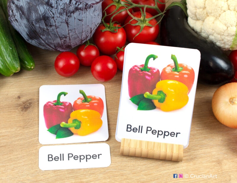 Real photo different Types of Vegetables three-part cards: flashcards, word cards, and photographic picture cards. Set of healthy food sight words for preschool and kindergarten literacy activities.