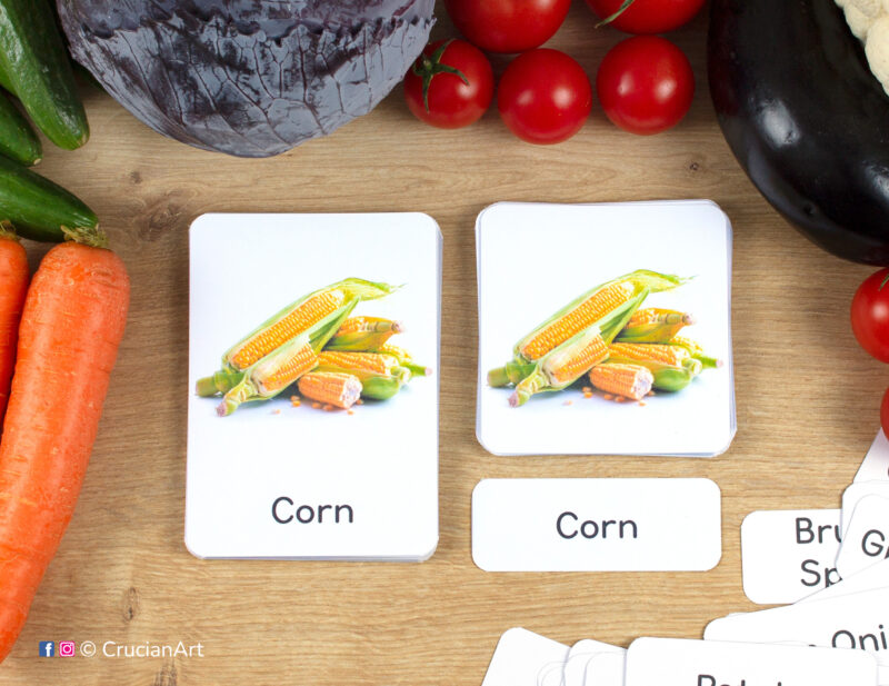 Vegetables theme 3-part cards homeschool printables. DIY preschool and kindergarten classroom resources for Healthy Food unit. Corn Cobs photographic picture cards, word card and control card.