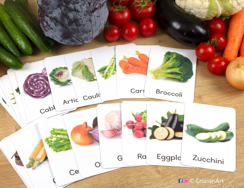 Set of real photo Vegetables flashcards laid out on the table for preschool and kindergarten activity: Zucchini, Eggplant, Broccoli, Carrot, and Onion