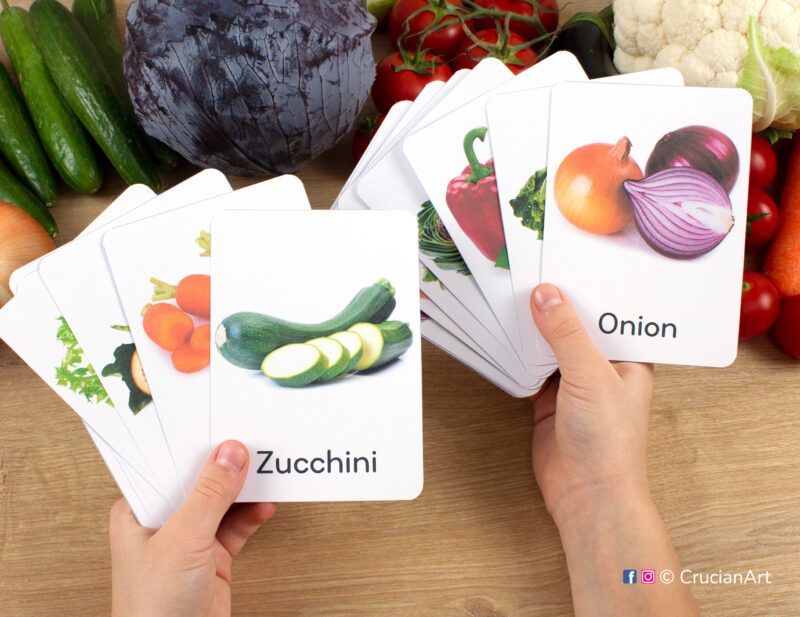 Zucchini and Onion veggies real photo flashcards in child hands. Vegetables study unit. Summer season preschool and kindergarten educational printables.