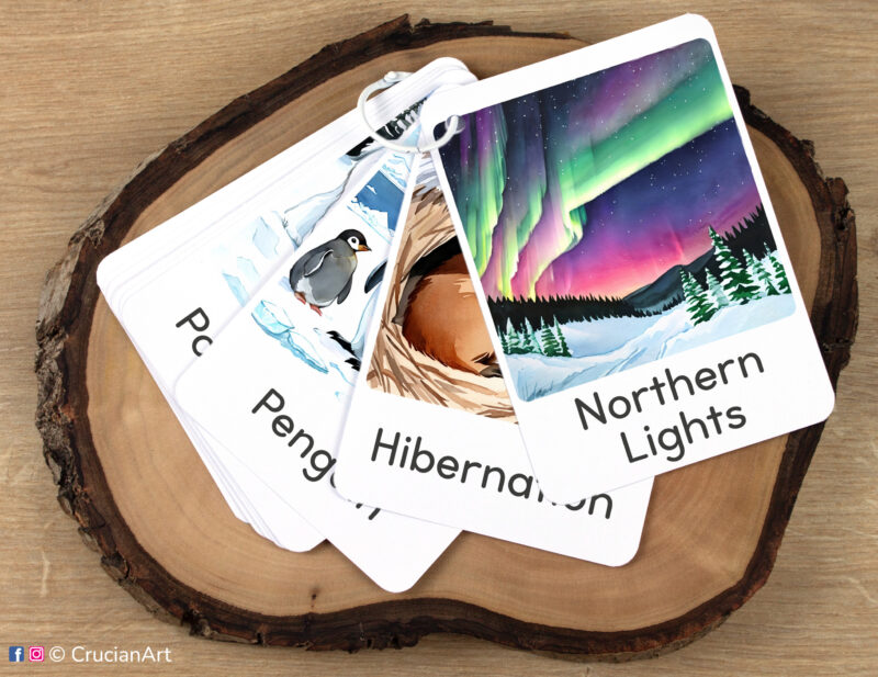 Set of Winter Wonderland flashcards kept together on a ring for on-the-go learning. Aurora borealis, northern lights, Polar lights visual flash cards.