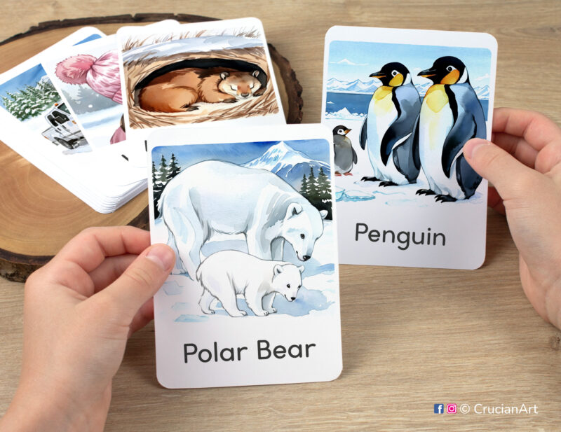 Watercolor illustrations of Polar Bear and Penguin flashcards in kindergartener's hands. Printables for winter study unit.