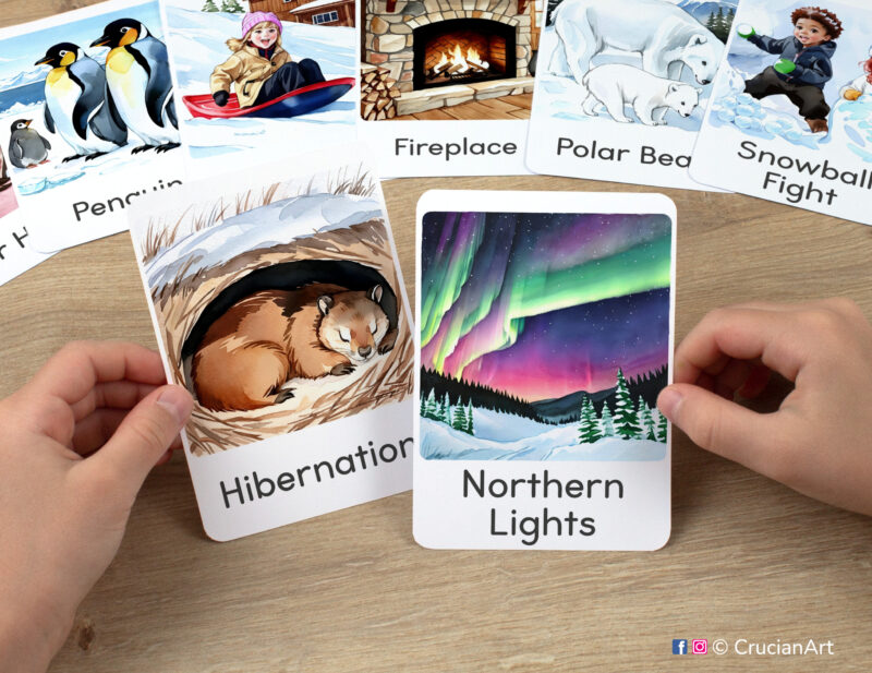 Preschooler's hands holding flashcards with watercolor images of Northern Lights, Polar Lights and Hibernation. Montessori printables for winter themed unit.