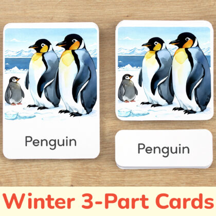 Winter three part cards set: Penguin flashcard, watercolor visual card, and label with matching word. DIY printable educational resource for winter curriculum.