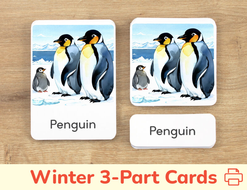 Winter three part cards set: Penguin flashcard, watercolor visual card, and label with matching word. DIY printable educational resource for winter curriculum.