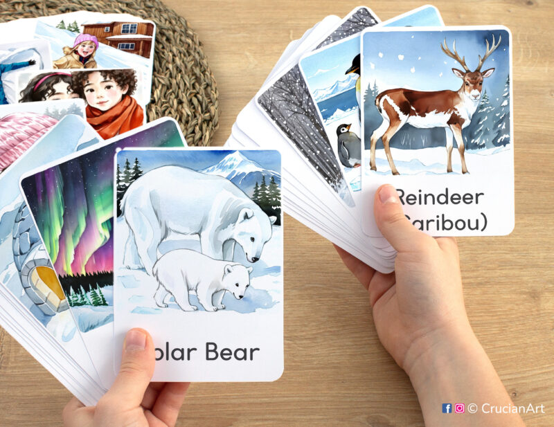 Polar Bear and Reindeer Caribou watercolor flashcards in child hands. Winter Wonderland unit educational printables.