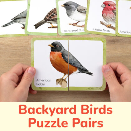 North American backyard birds theme picture puzzles for toddler and preschool education. DIY classroom resources for the bird species identification nature unit.