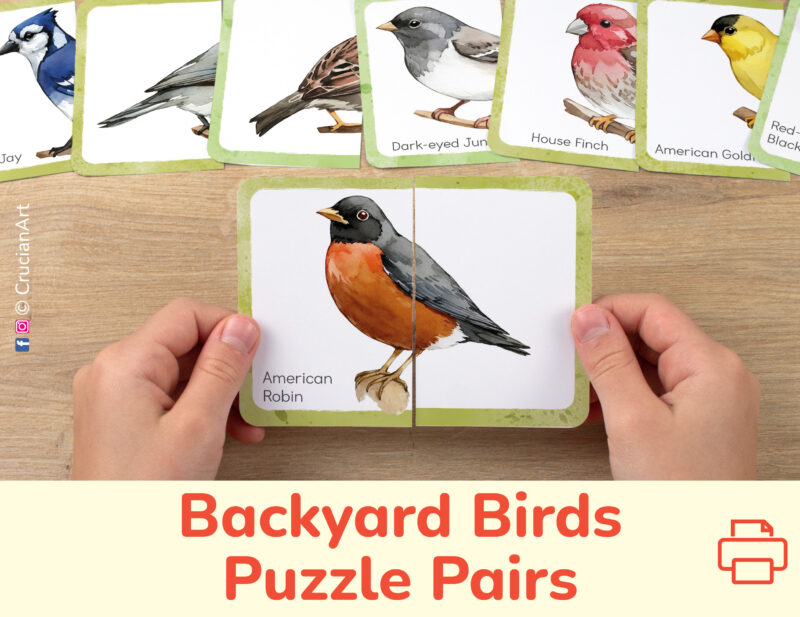 North American backyard birds theme picture puzzles for toddler and preschool education. DIY classroom resources for the bird species identification nature unit.