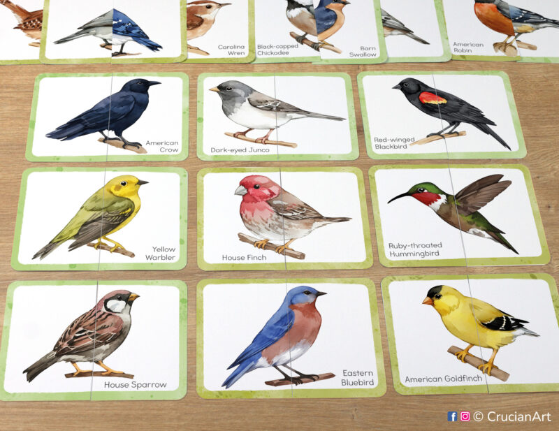 North American backyard birds picture puzzles: eastern bluebird, American goldfinch, house finch, American crow, house sparrow, yellow warbler, dark-eyed junco, red-winged blackbird, ruby-throated hummingbird. Match the puzzle halves printable game for early learning. Local bird species theme visual discrimination cards for bird identification study unit.