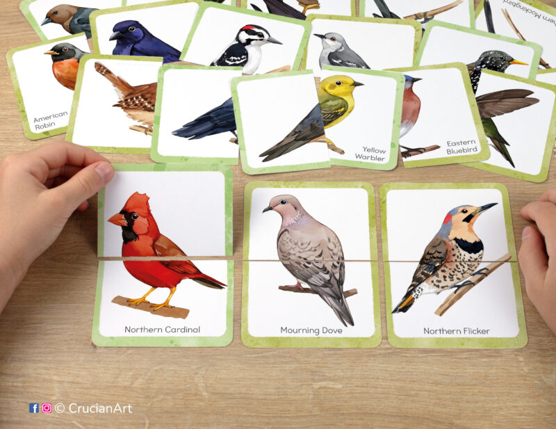 Printable set of picture puzzles for preschool teachers. Watercolor puzzle pairs with images of North American backyard birds: northern cardinal, mourning dove, and northern flicker.