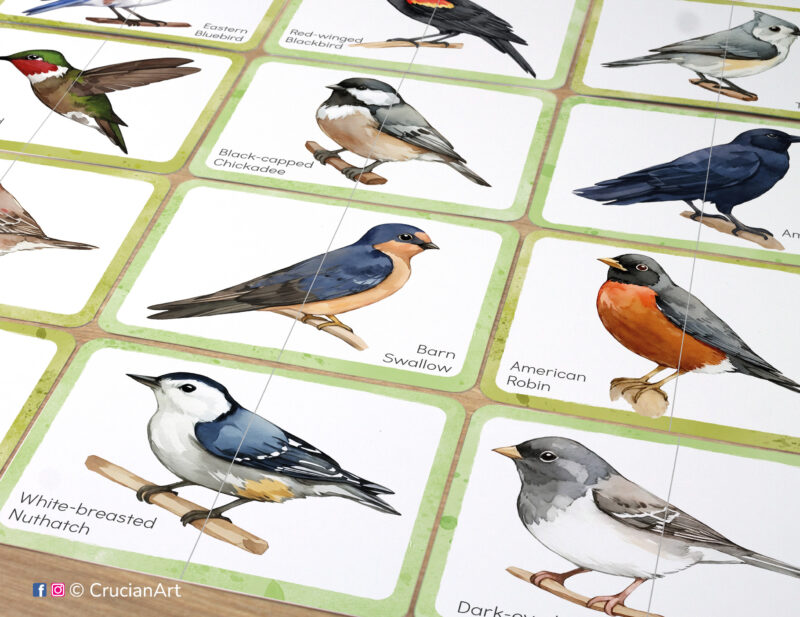 Set of printed North American backyard birds theme picture puzzles with watercolor illustrations of American robin, barn swallow, white-breasted nuthatch, black-capped chickadee, dark-eyed junco, ruby-throated hummingbird, American crow, tufted titmouse.