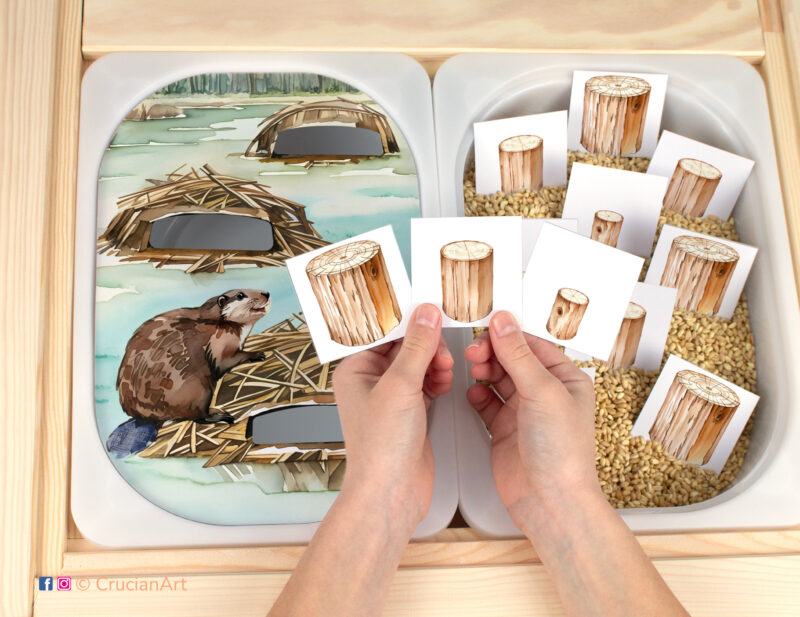 Size sorting activity for toddlers. Flisat insert template for ikea sensory table bins. Beaver lodge printable play for two year old and three year old kids. Spring and summer season pond life printables.
