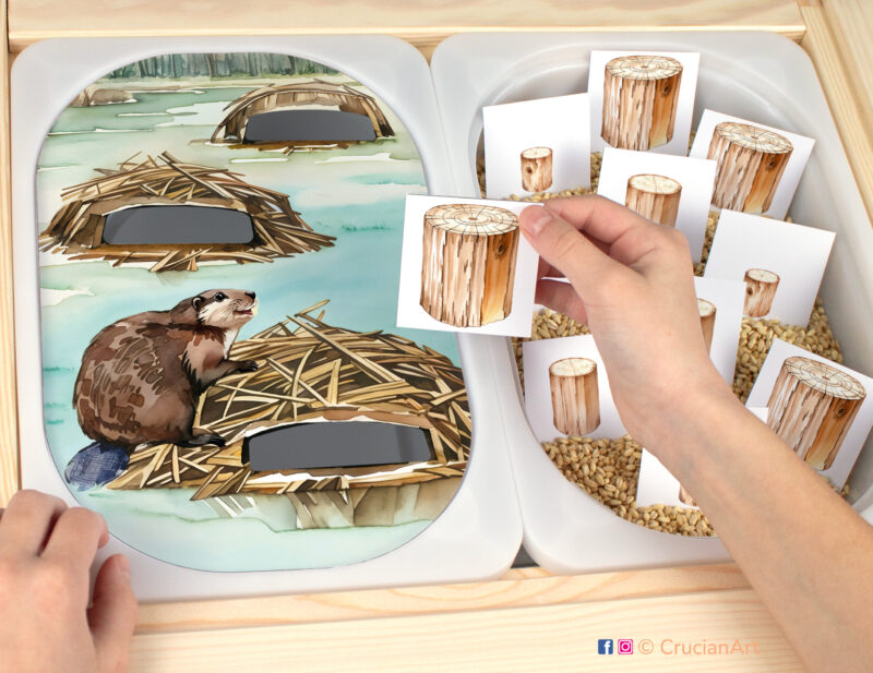 Beaver lodge theme printable insert template for ikea flisat sensory table bins for kids. Spring and summer seasons printables toddler and preschool activities.
