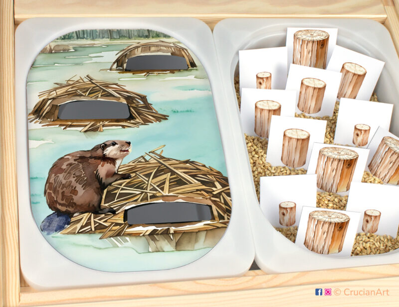 Beaver lodge flisat insert template for ikea sensory table bins. Preschool classroom sorting activities. Printables for two, three and four year olds.