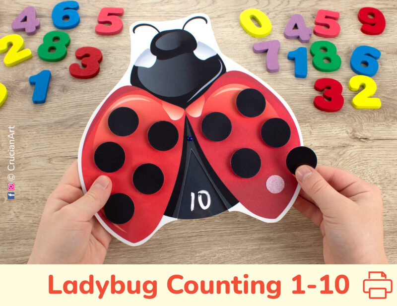 Ladybug spot counting activity for toddlers and preschoolers. Spring and summer season learning resource to practice numbers from one to ten.