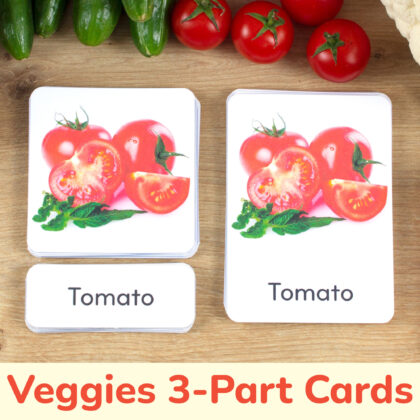 Real photo vegetables three part cards set: Tomato control card, photographic picture card, and label with matching word. Preschool and kindergarten printable educational resource for healthy food curriculum.