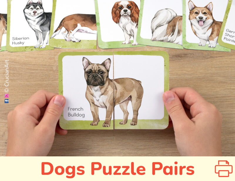 Dog breeds theme picture puzzles for toddler and preschool education. DIY resources for classroom learning.