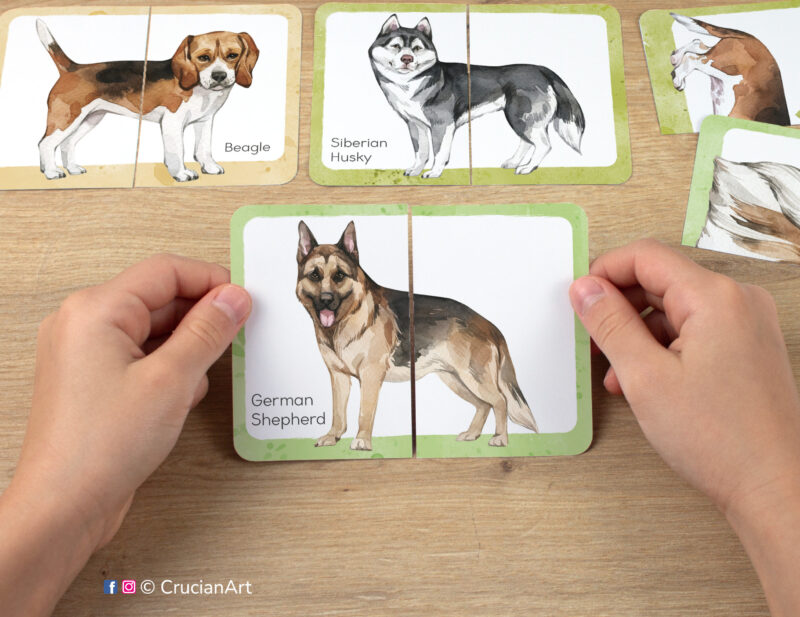 German shepherd, beagle, Siberian husky watercolor picture puzzle. Dogs puzzles and problem-solving play for preschool classrooms. Fine motor skills development for three year olds.