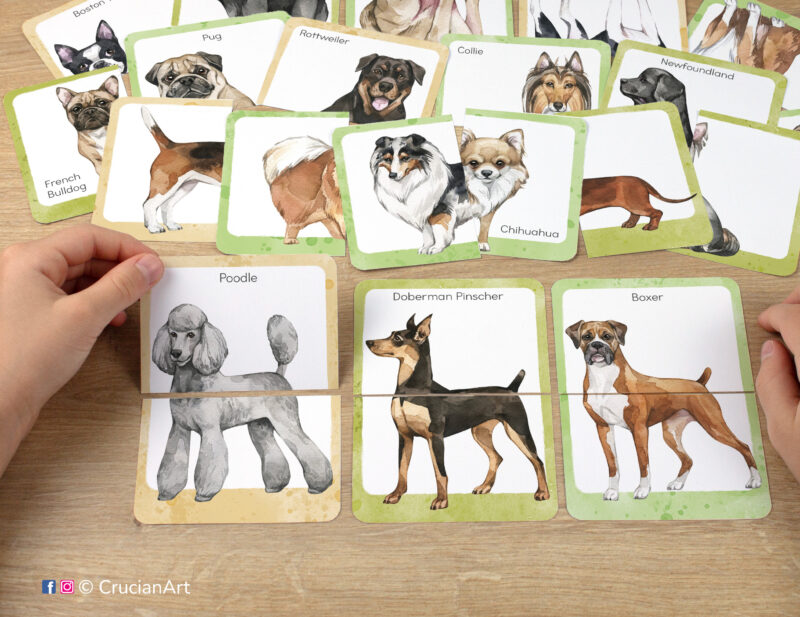 Printable set of picture puzzles for preschool teachers. Watercolor puzzle pairs with images of dog breeds: poodle, doberman pinscher, boxer.