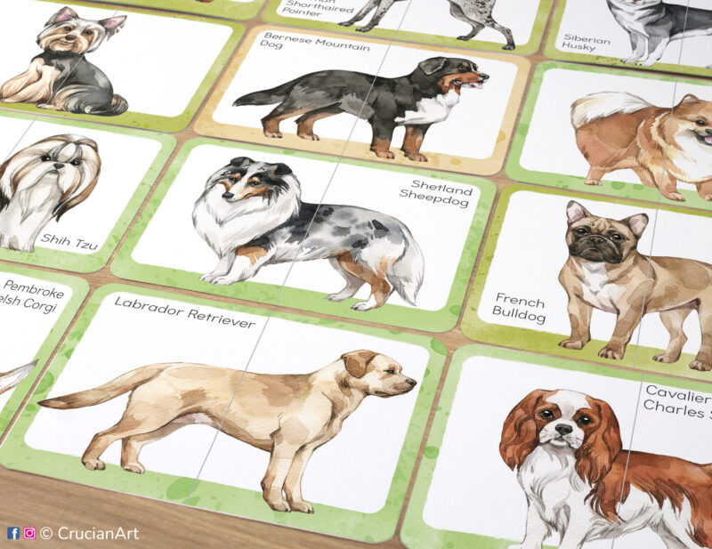 Set of printed dogs theme picture puzzles with watercolor illustrations of dog breeds: French bulldog, labrador retriever, shetland sheepdog, bernese mountain dog, spaniel, shih tzu, Yorkshire terrier.