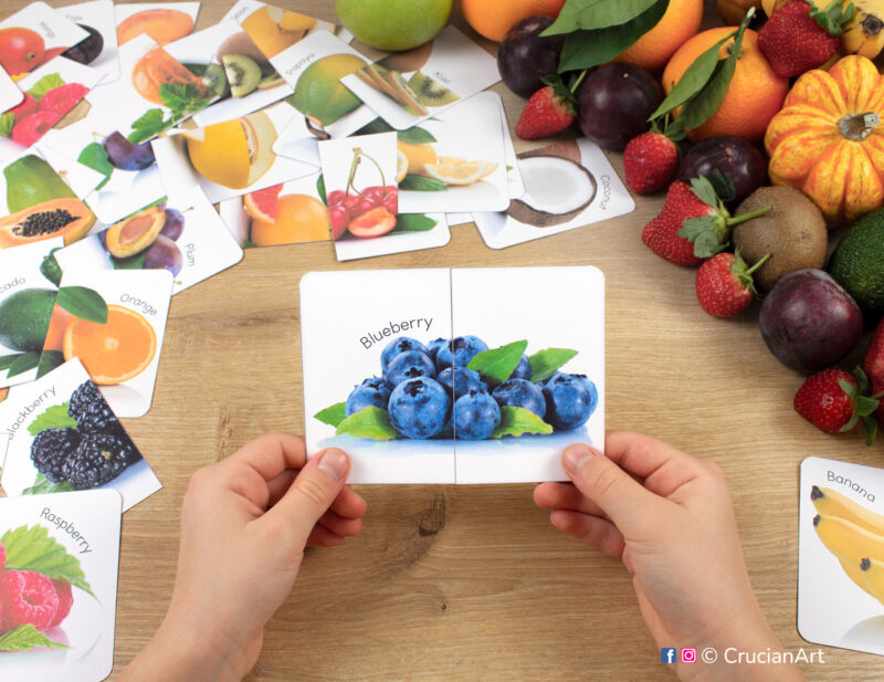 Blueberry real photo picture puzzle for healthy food theme. Fruits and berries puzzles play for preschool classrooms. Fine motor skills development for three year olds.