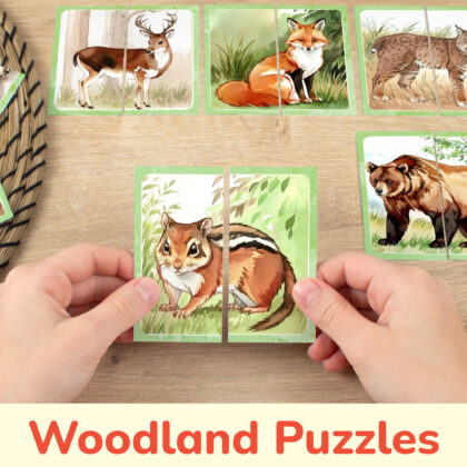 Woodland Animals theme picture puzzles for toddler and preschool education: watercolor images of a chipmunk, red fox, brown bear, deer, bobcat. DIY classroom resources for the wildlife of the woods learning.