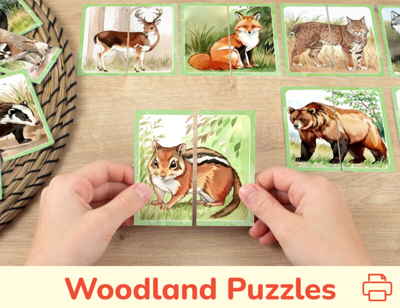 Woodland Animals theme picture puzzles for toddler and preschool education: watercolor images of a chipmunk, red fox, brown bear, deer, bobcat. DIY classroom resources for the wildlife of the woods learning.