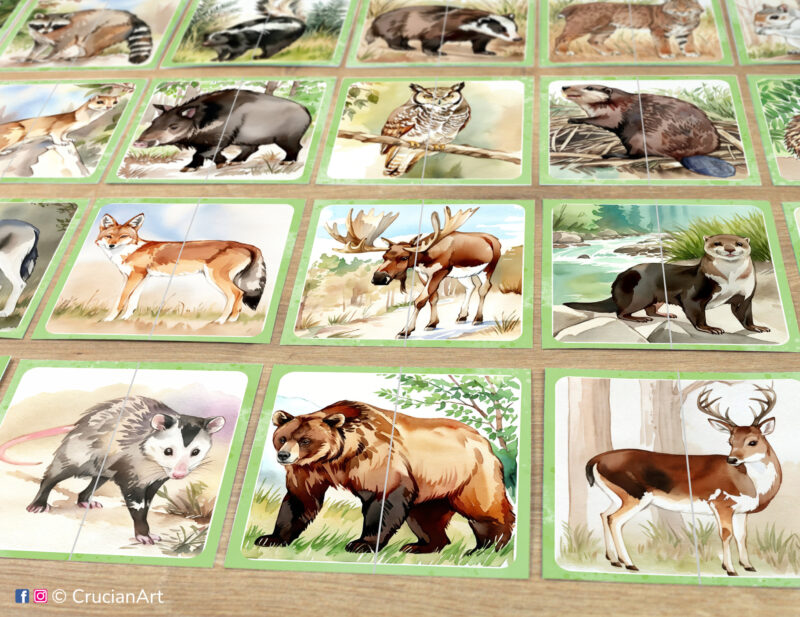 Set of woodland and forest animals theme puzzle pairs to print for classroom activity. Picture puzzles: brown bear, moose, opossum, deer, great horned owl, wild pig, coyote, beaver. DIY toddler and preschool matching game.