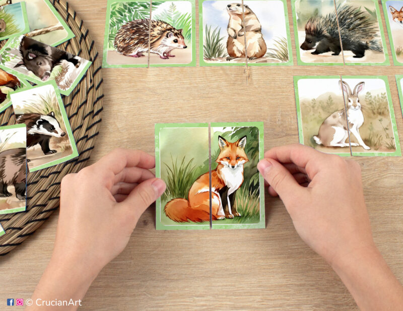 Kids puzzle matching activity in use: watercolor picture puzzle with a red fox. Montessori printables for two year olds. Forest and woodland animals: rabbit, hedgehog, porcupine, groundhog.