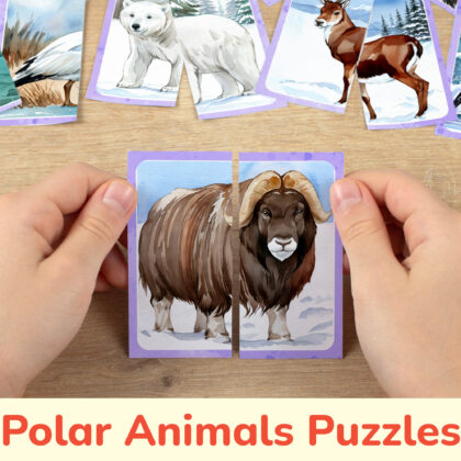 Arctic Animals theme picture puzzles for toddler and preschool education: watercolor image of a musk ox. DIY classroom resources for the Tundra Nature learning.