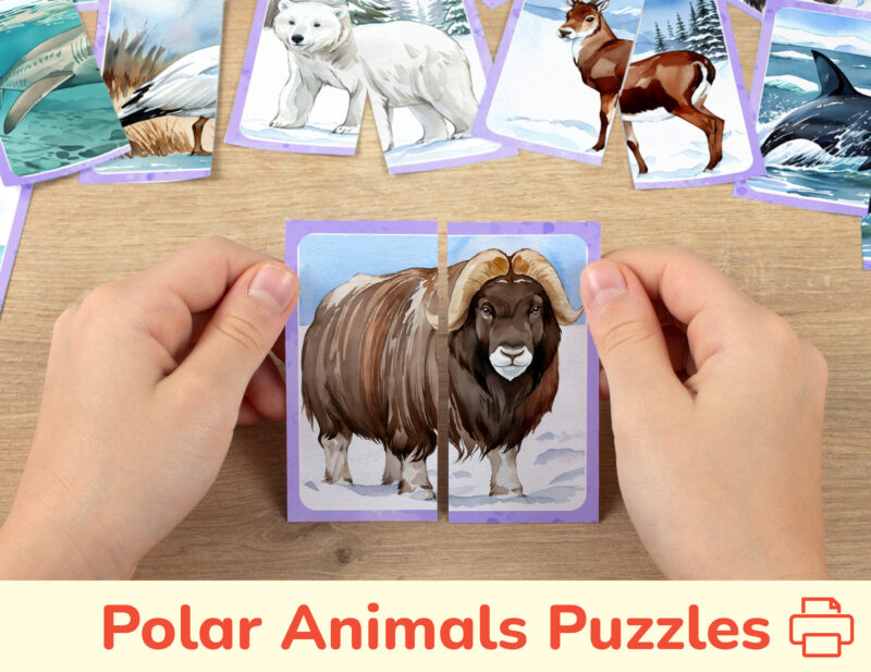 Arctic Animals theme picture puzzles for toddler and preschool education: watercolor image of a musk ox. DIY classroom resources for the Tundra Nature learning.