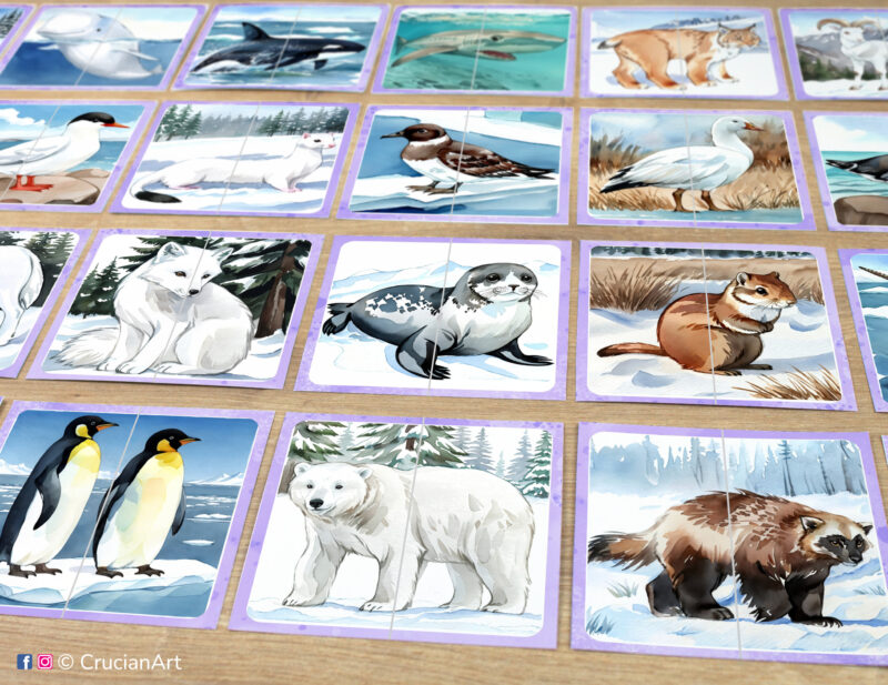 Set of tundra animals puzzle pairs to print for classroom activity. Picture puzzles: polar bear, emperor penguin, arctic fox, harp seal, ermine, arctic skua, arctic ground squirrel, snow goose. DIY toddler and preschool matching game.