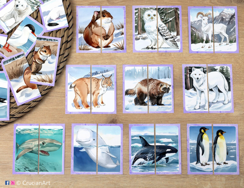 Match the puzzle halves printable game for early learning. Arctic animals picture puzzles: lemming, snowy owl, beluga whale, orca killer whale, Greenland shark, Emperor penguin, Arctic wolf, lynx, wolverine. Tundra Wildlife theme visual discrimination cards for toddler.