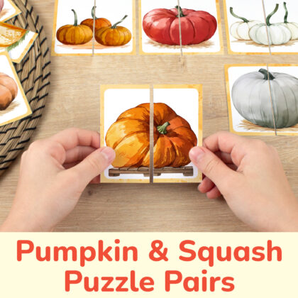 Pumpkins and squash theme picture puzzles for toddler and preschool education: watercolor image of an Atlantic giant pumpkin. DIY classroom resources for fall season learning.