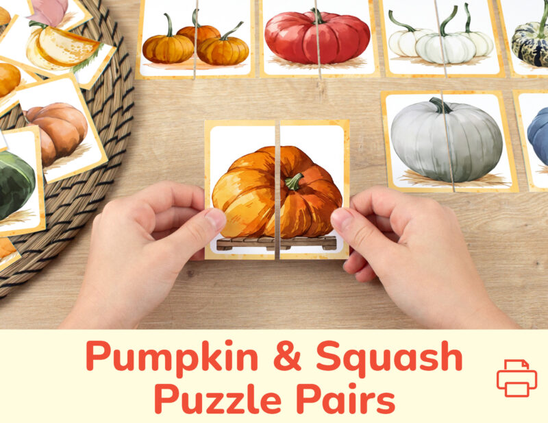 Pumpkins and squash theme picture puzzles for toddler and preschool education: watercolor image of an Atlantic giant pumpkin. DIY classroom resources for fall season learning.