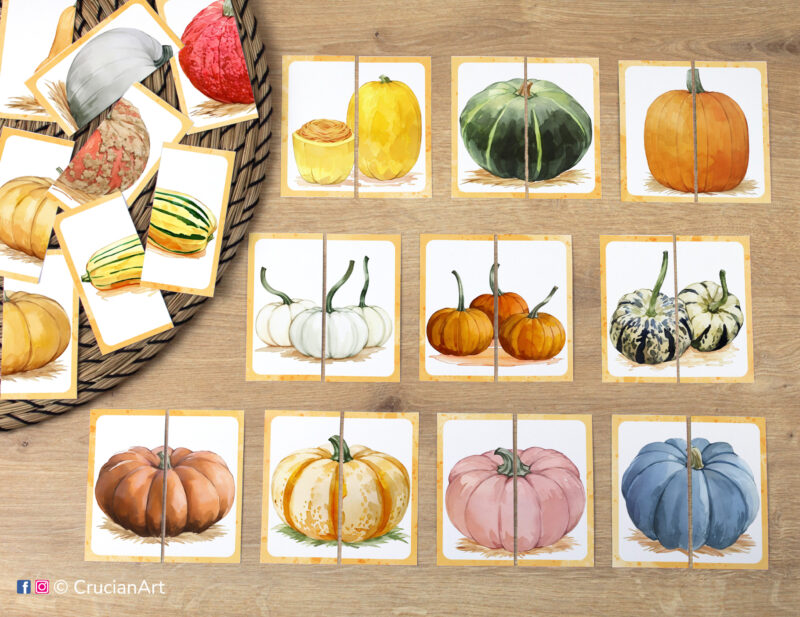 Match the puzzle halves printable game for early learning. Pumpkins and squash picture puzzles: Baby Bear Pumpkin, Baby Boo Pumpkin, Sweet Dumpling Squash, Fairytale Pumpkin, Hooligan Pumpkin, Porcelain Doll Pumpkin, Blue Jarrahdale Pumpkin, Spaghetti Squash, Connecticut Field Pumpkin, Kabocha Squash. Autumn harvest theme visual discrimination cards for toddler.