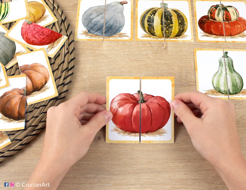 Kids puzzle matching activity in use: watercolor picture puzzle with a Cinderella pumpkin. Montessori printables for two year olds. Pumpkins and Squash puzzles: American Tondo Squash, Blue Hubbard Squash, Turban Squash, Green-Striped Cushaw Squash.