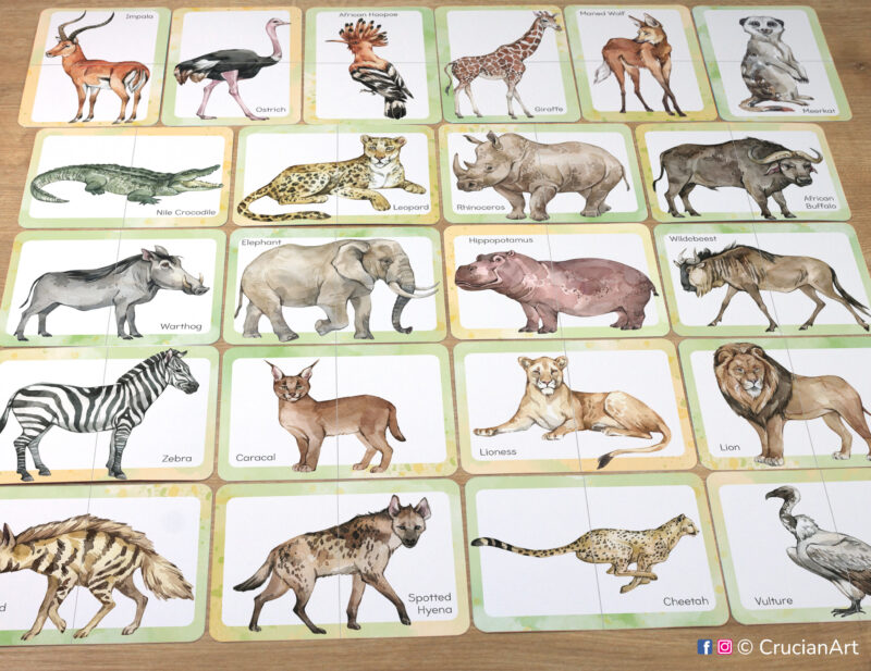 Set of African savanna animals puzzle pairs to print for classroom activity. Watercolor picture puzzles: elephant, giraffe, zebra, lion, lioness, cheetah, hippopotamus, African buffalo, wildebeest, rhinoceros, spotted hyena, striped hyena, warthog, ostrich, gazelle, impala, vulture, Nile crocodile, meerkat, crowned crane, leopard, African hoopoe, caracal, maned wolf. DIY toddler and preschool matching game.